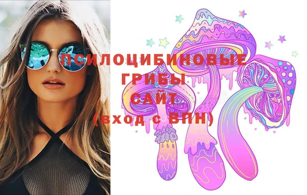 ГАЛЛЮЦИНОГЕННЫЕ ГРИБЫ Кукмор