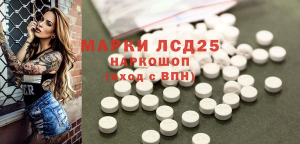 ГАЛЛЮЦИНОГЕННЫЕ ГРИБЫ Кукмор