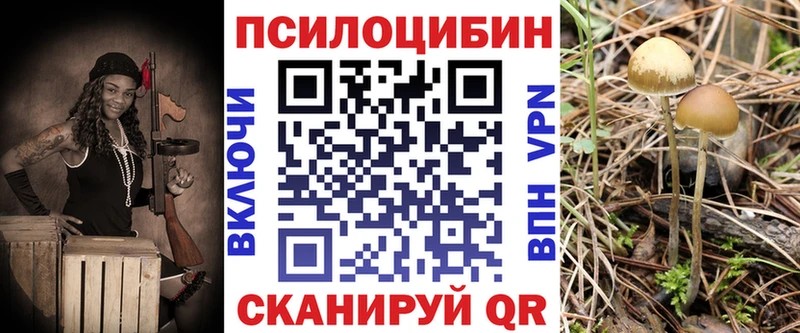 Галлюциногенные грибы GOLDEN TEACHER  Купить где  Бологое 